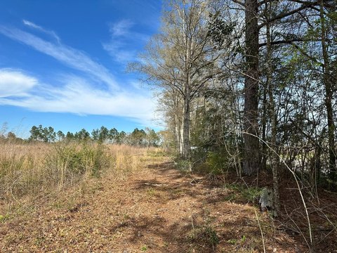 Homesite Land with Paved Road Access