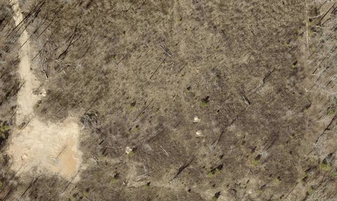 Residential Lot in Lonsdale, AR