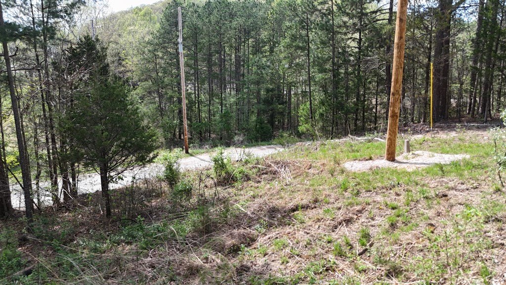 Picture 11