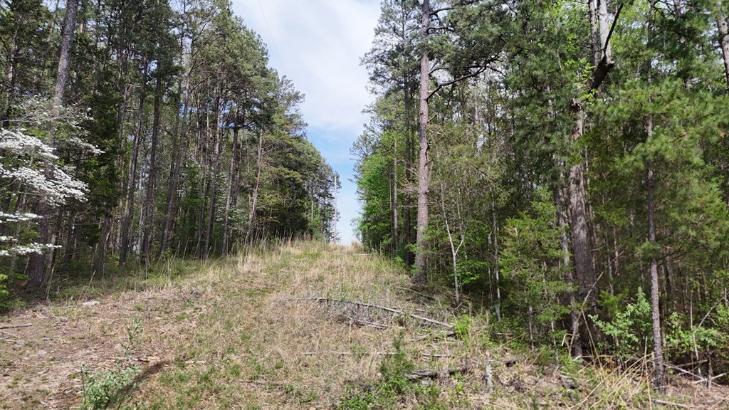 Picture 28