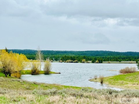 LAND - Island Park, ID