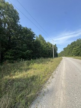 Land, Wilder, TN