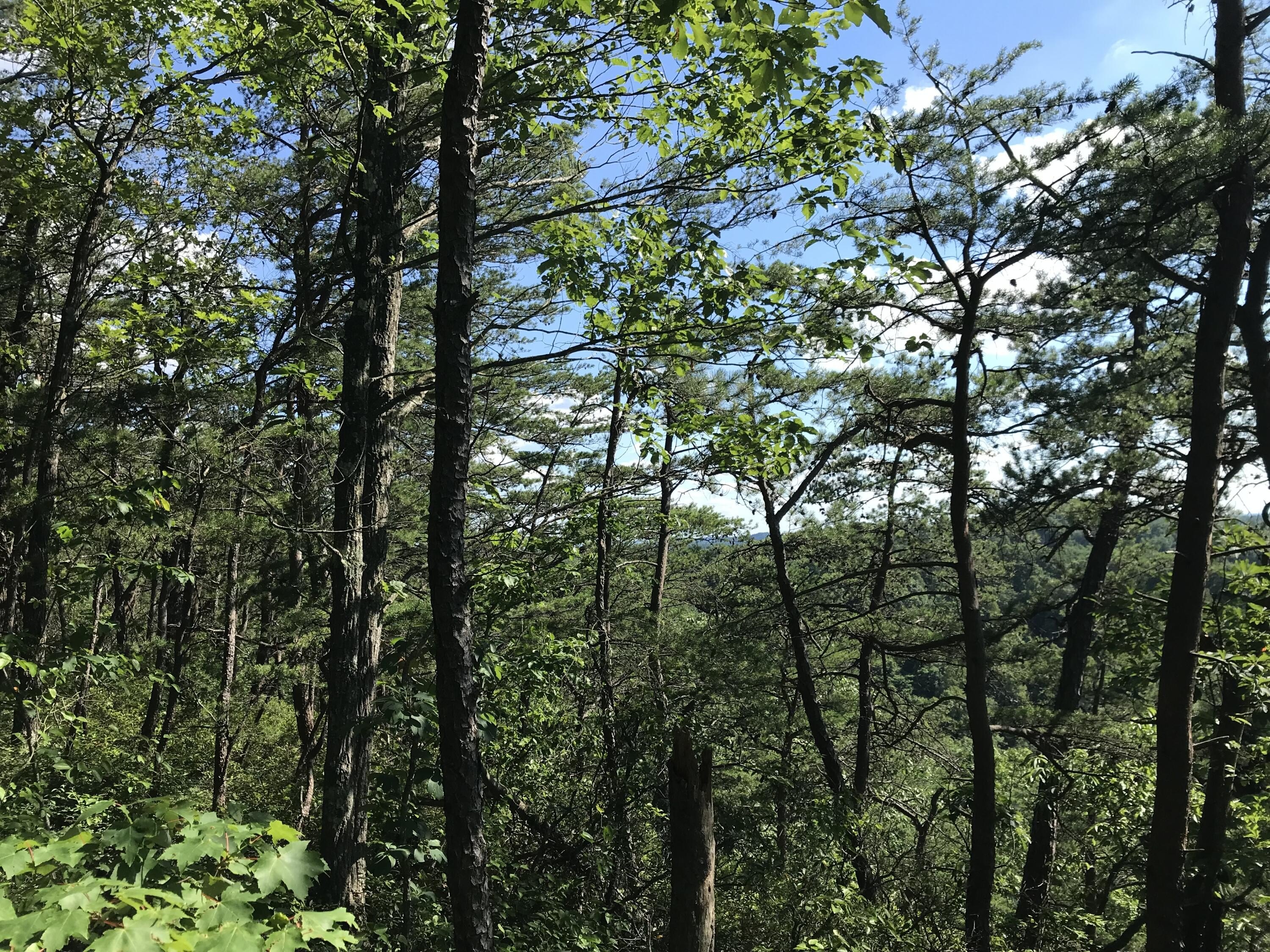 Ridgecrest Scenic Overlook Land