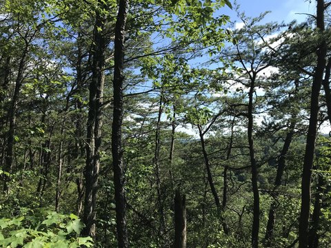Ridgecrest Scenic Overlook Land