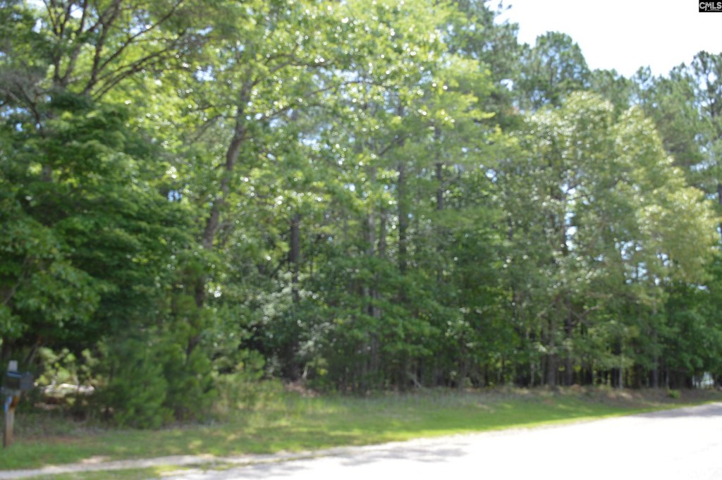 Picture 3