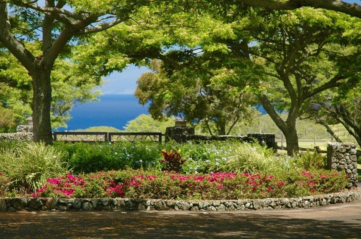 Hawi Ranch Estate with Ocean Views