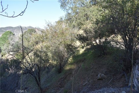Small Specialty Land Parcel
