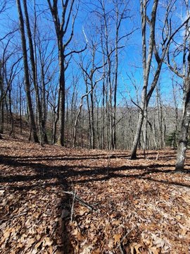 Mountain Ridge Lot in Murphy