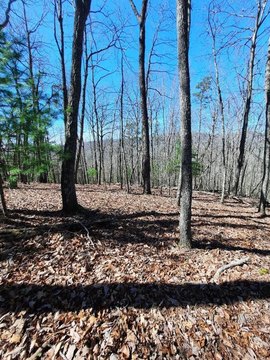 Mountain Ridge Lot in Murphy