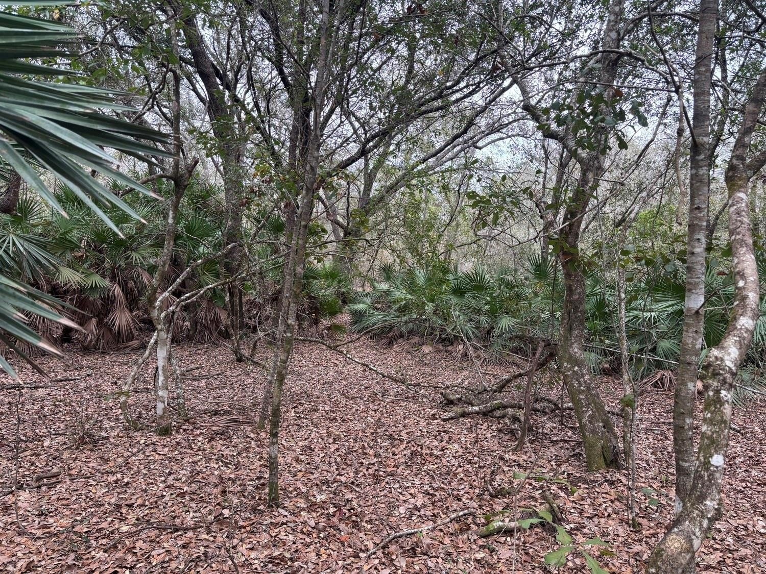 Polk City Acreage for Recreation