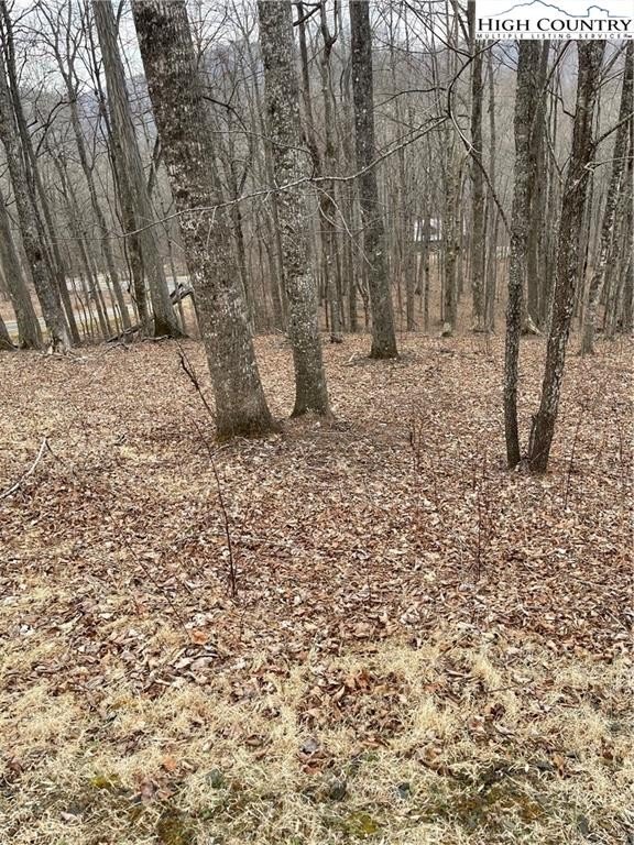 Land in Elk Creek Mountain