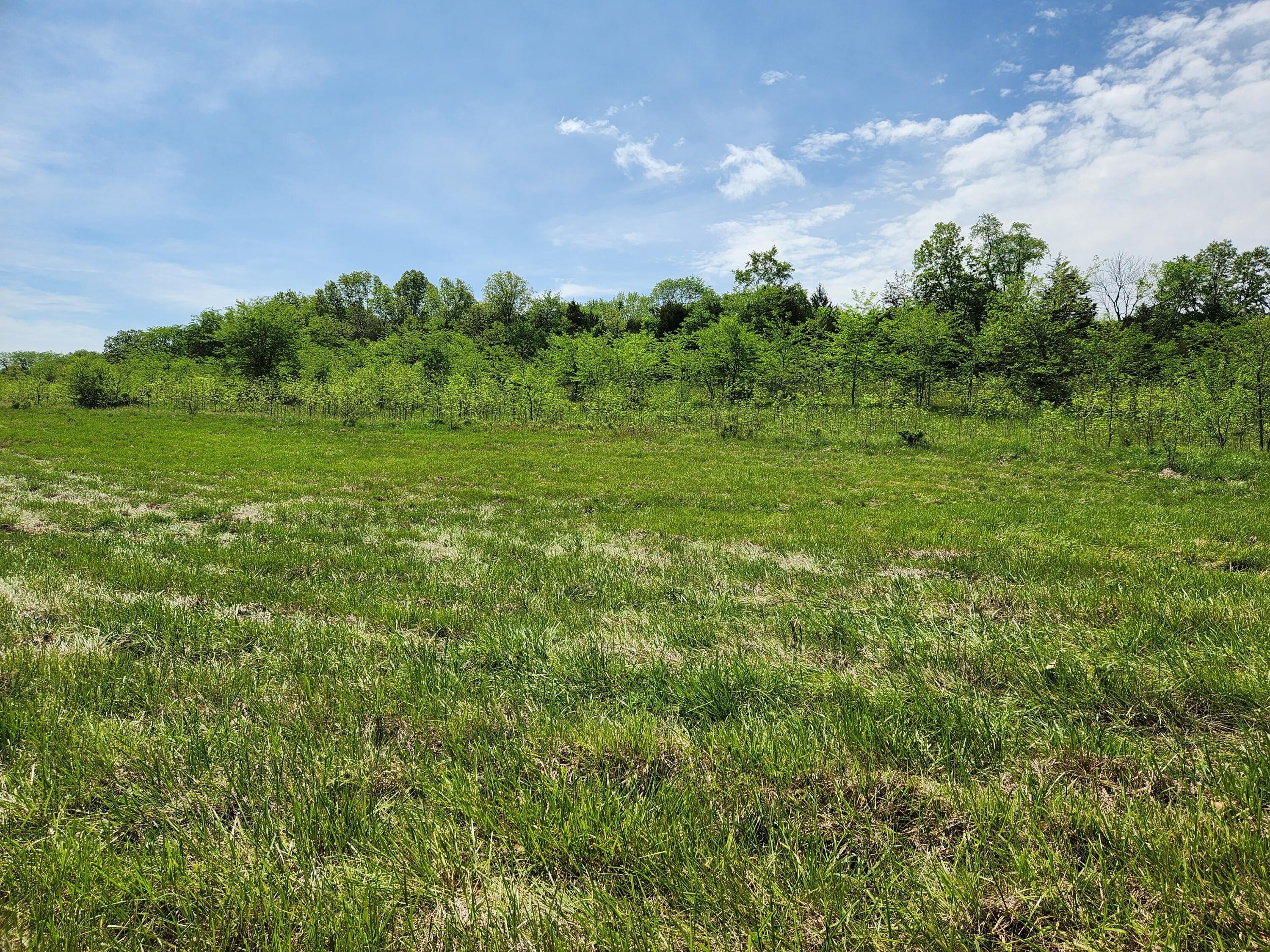 Land in Marshfield, Missouri