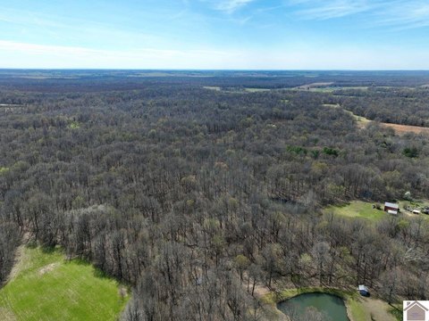 All-Timber Hunting Tract with Creek Drainage