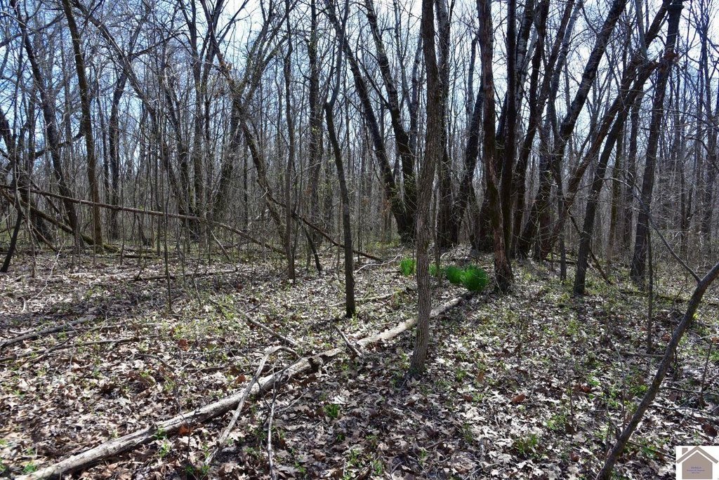 Picture 17