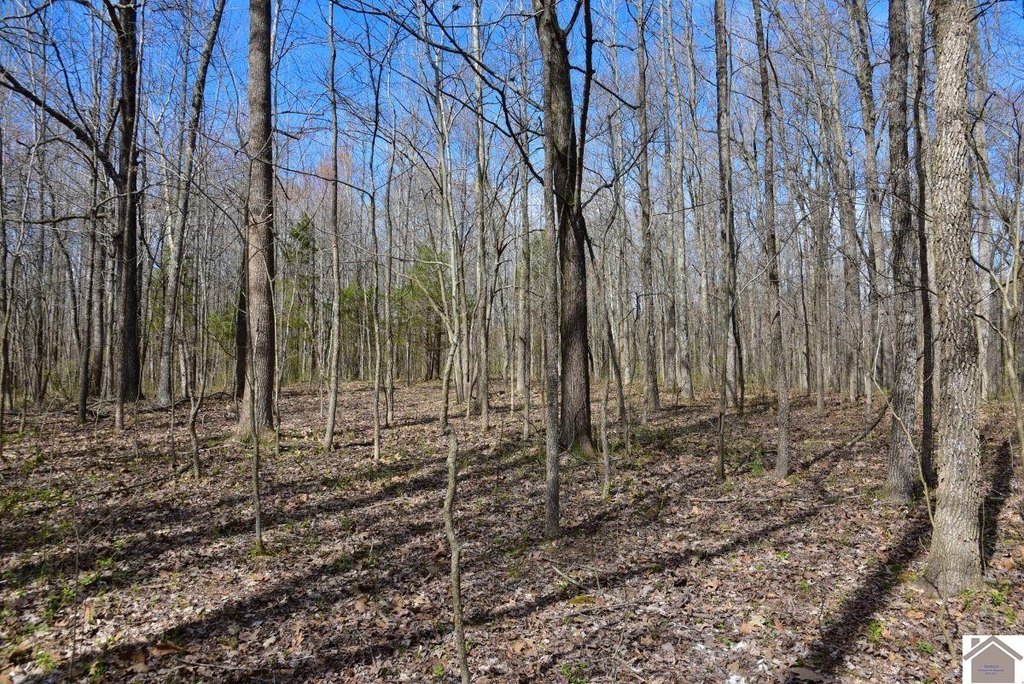 Picture 13