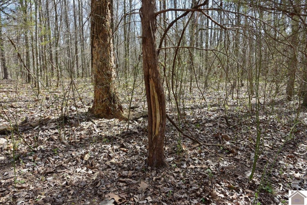 Picture 14