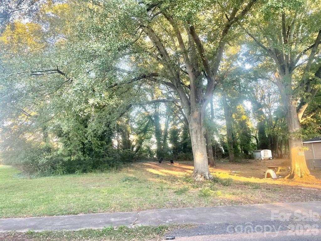Picture 3