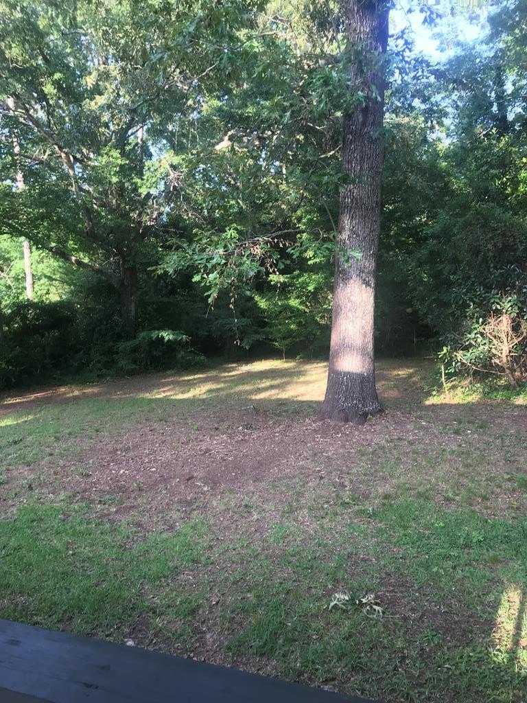 Land For Sale, Manchester, GA
