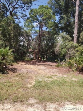 Land, Homosassa, FL