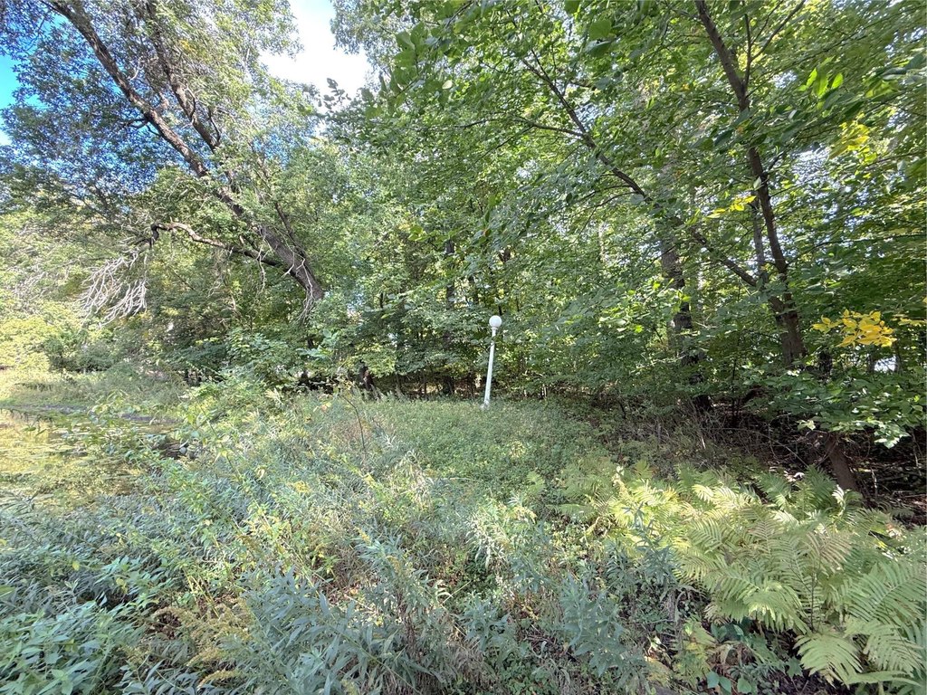 Picture 17