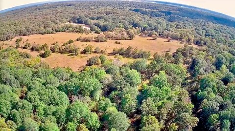 Creekfront Hunting Land