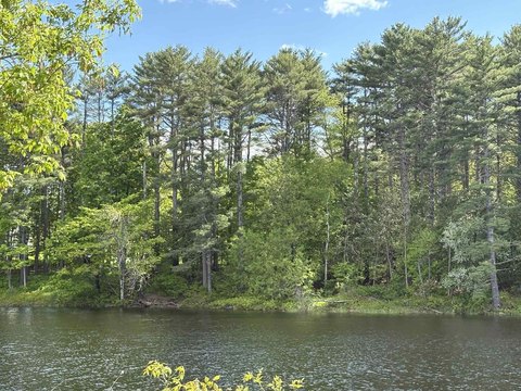 Dover-Foxcroft Buildable Woodlot For Sale