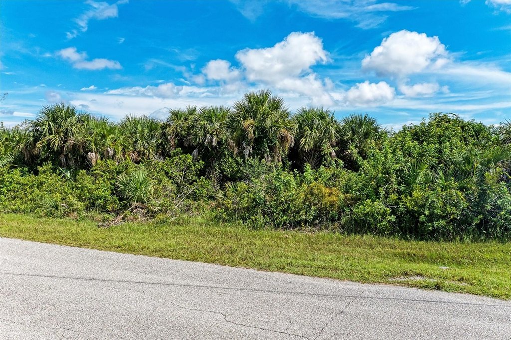 Picture 12