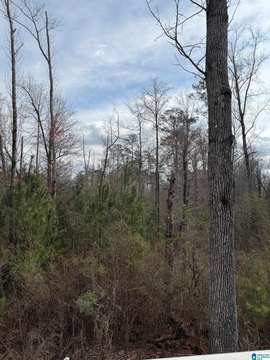 Residential Acreage Land for Building