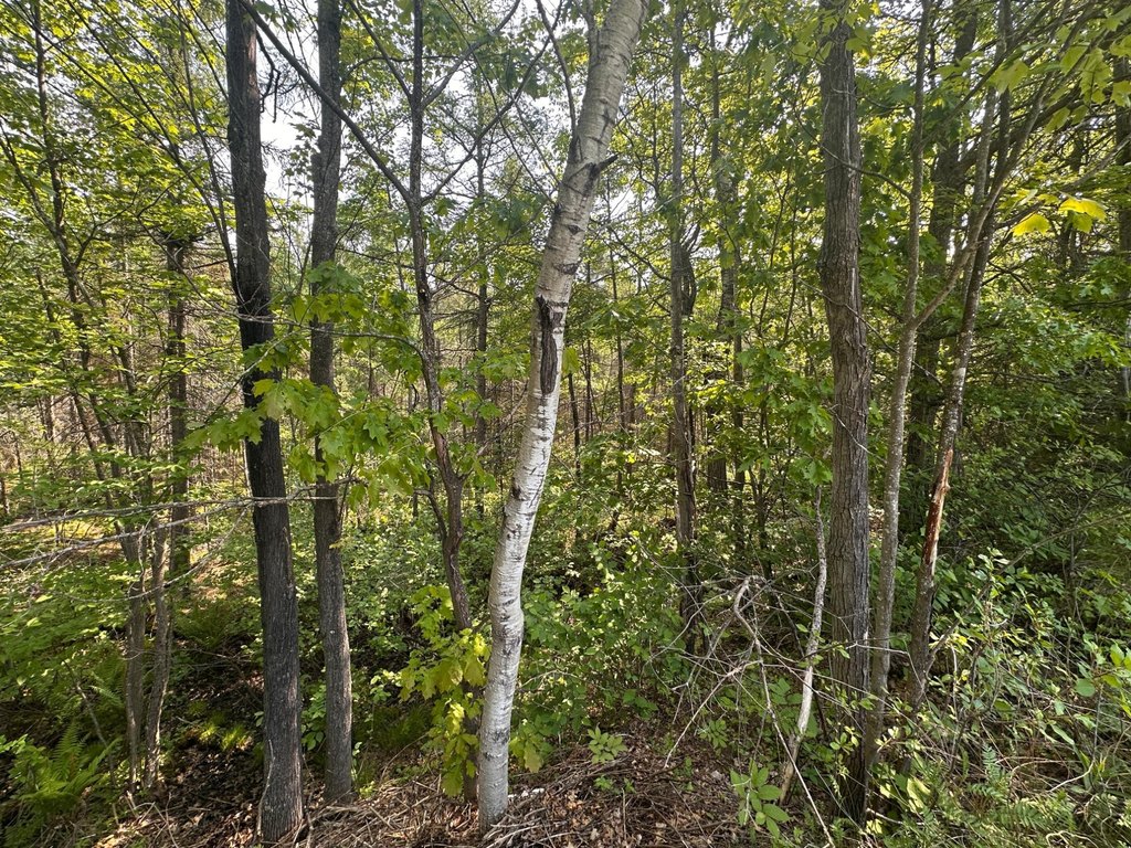 Picture 13
