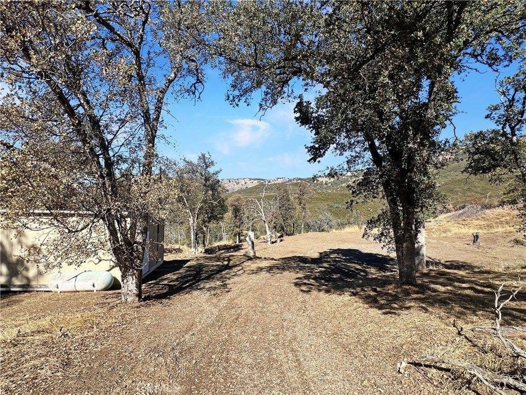 Picture 17
