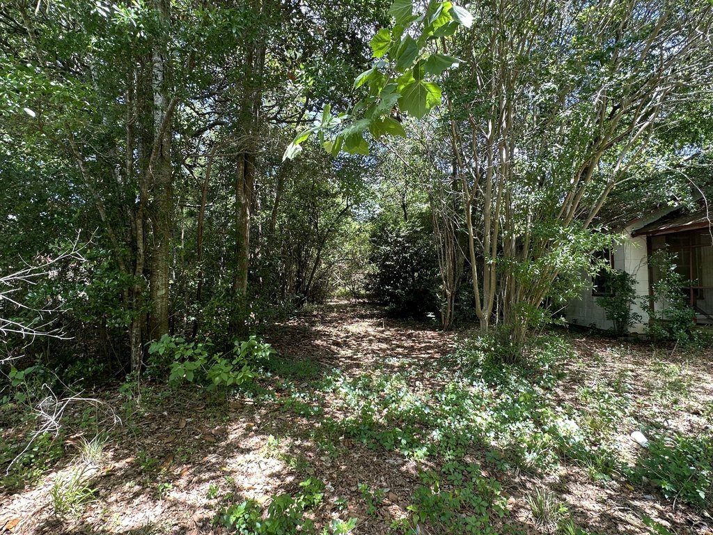 Picture 15