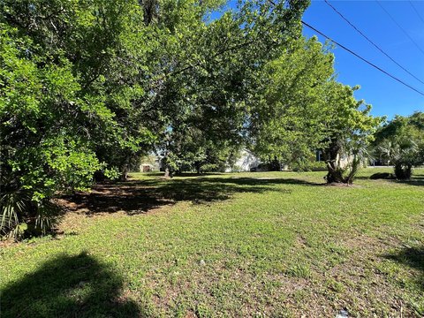 Cleared Land Near USF