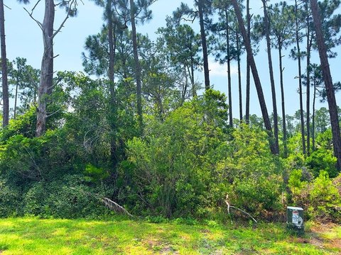 Oversized Lot in Sea Haven