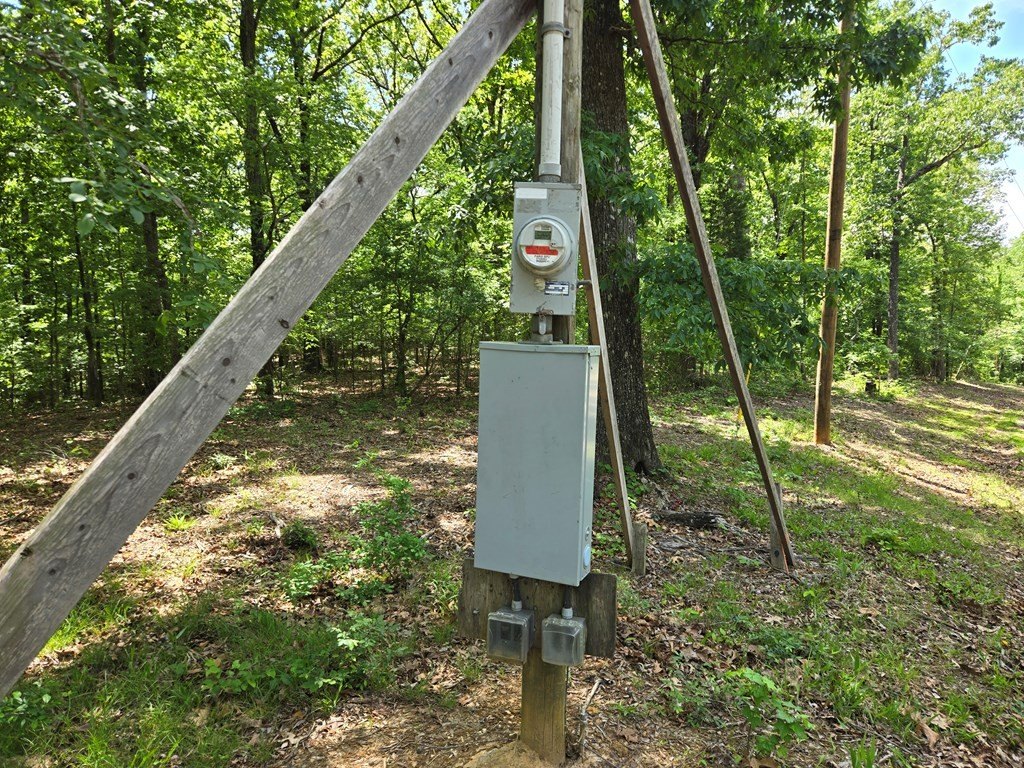 Picture 8