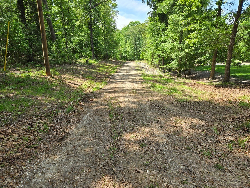 Picture 5