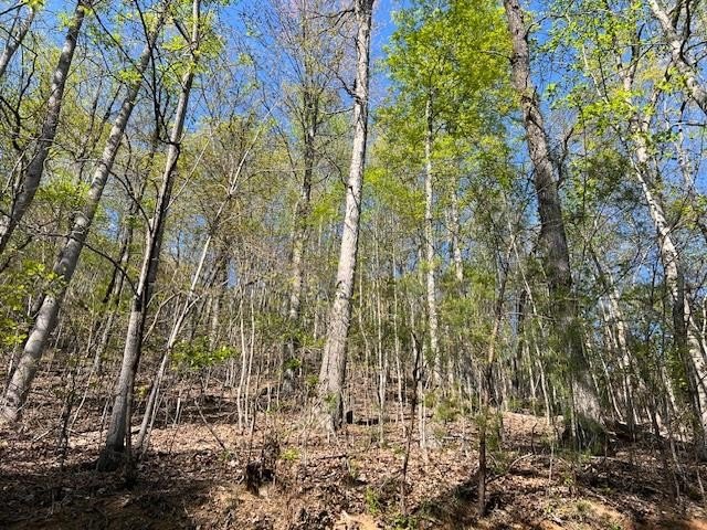 Hayesville Vacant Lot with Views