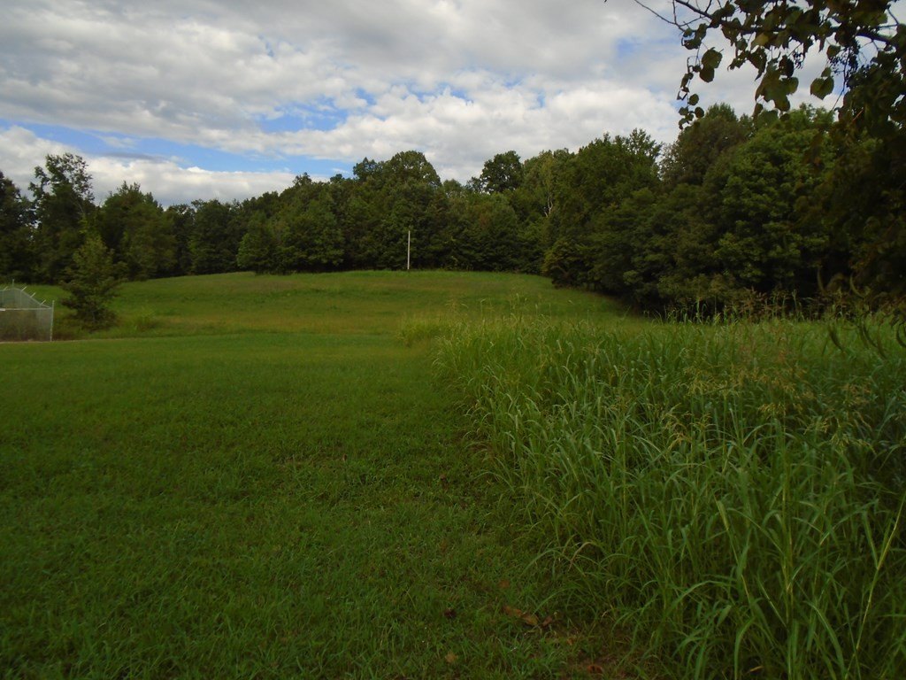 Picture 8