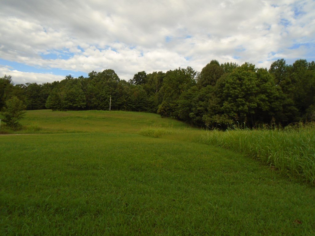 Picture 7