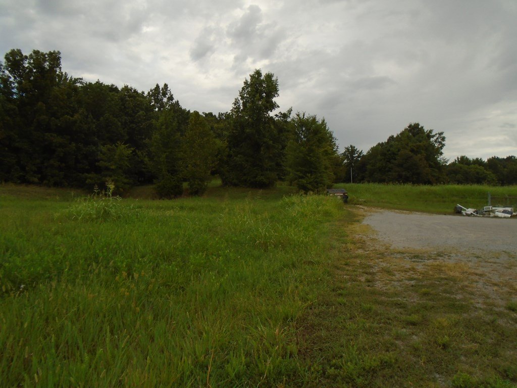Picture 4