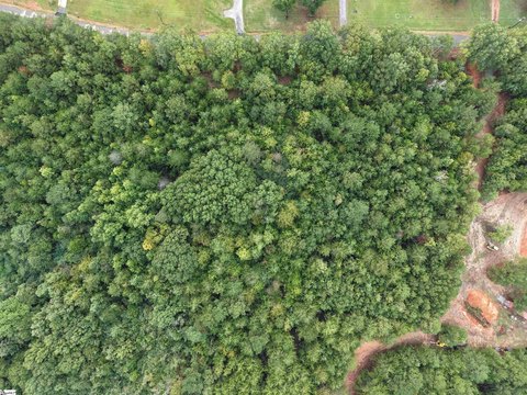 Lots/Land, Laurens, SC