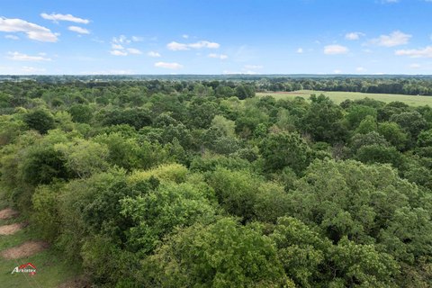 71 Acres Ready for Home