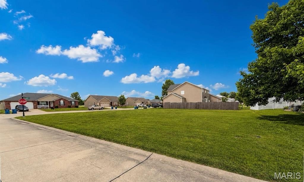 Picture 3