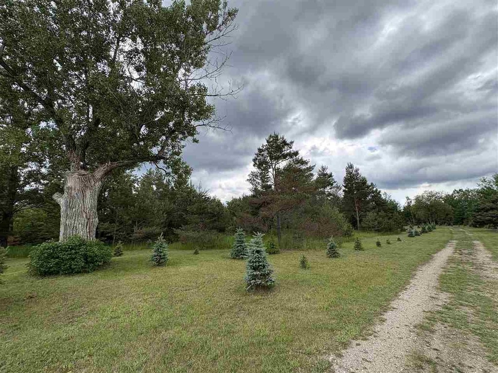 Picture 11