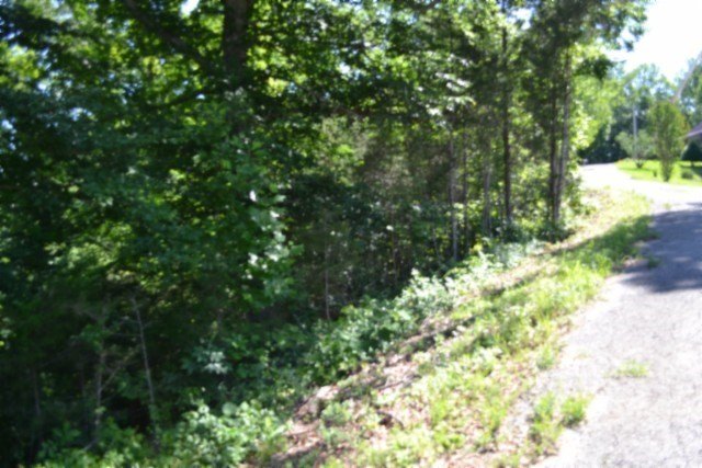 Picture 5