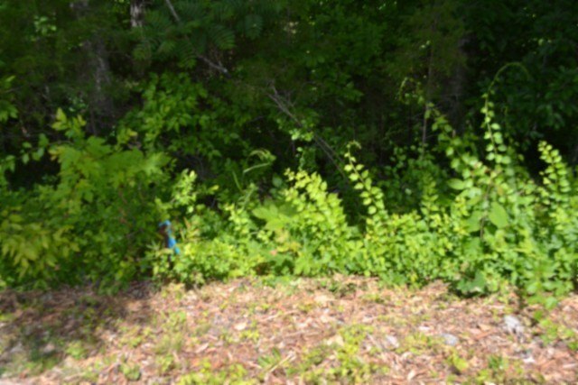 Picture 23