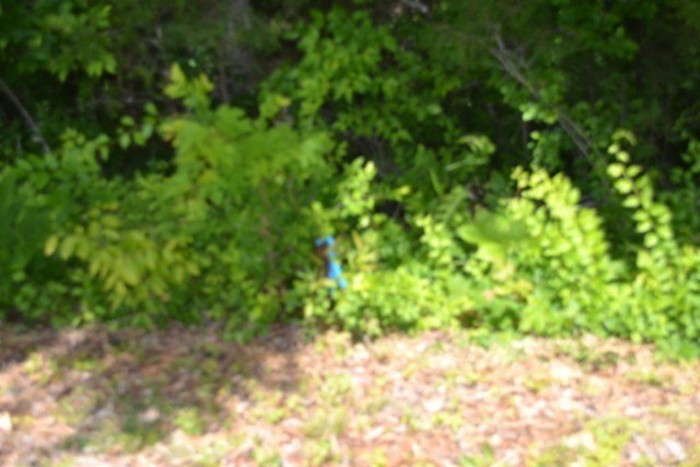 Picture 22
