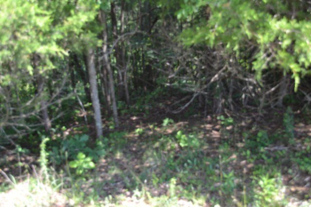 Picture 10