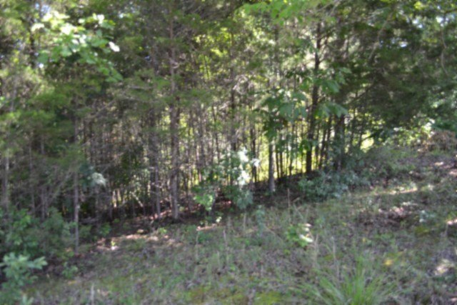 Picture 13