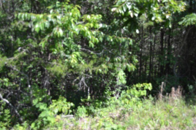 Picture 7