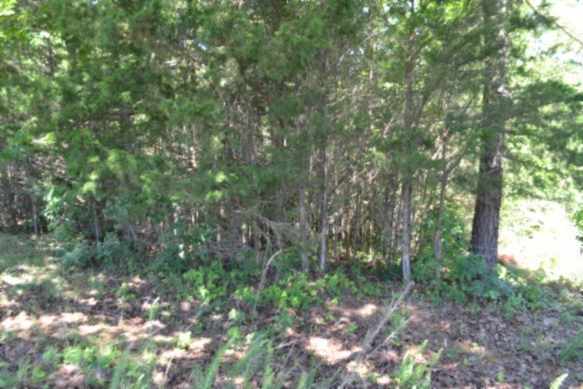 Picture 18